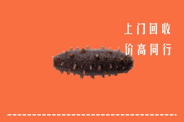 杭州萧山回收海参