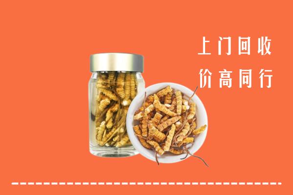 杭州萧山回收冬虫夏草